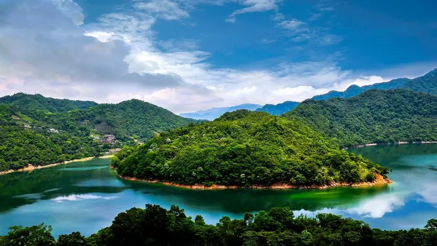 高端全自动高效